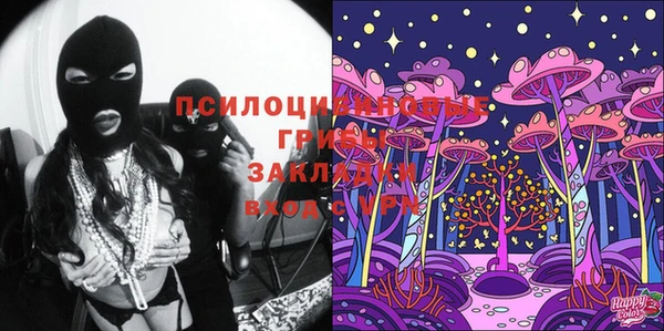 mdpv Кодинск