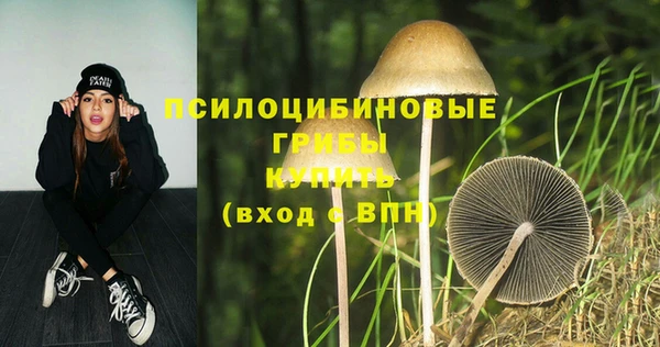 ALPHA-PVP Верхний Тагил